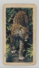 1964 Brooke Bond Red Rose African Animals Tea Canadian Black Backs Leopard 0j8f
