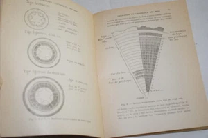 Bois et Liège-Encyclopédie,D'HUBERT,Baillières,1926,ILL - Picture 1 of 3