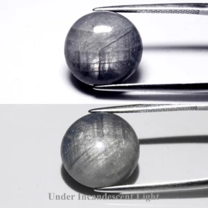 💎 12,90ct runder Cabochon grau 6 Strahlen Stern Saphir - unbeheizt, Myanmar Edelstein - Bild 1 von 11