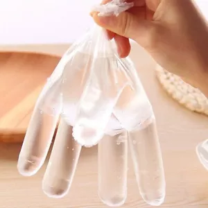 100pcs Clear Single-Use Plastic Gloves Powder Free, Safety & Food Service Tools - Picture 1 of 24