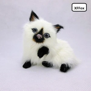 cute real life cat model plastic&furs naughty cat doll gift about 10x8x9.5cm - Picture 1 of 3