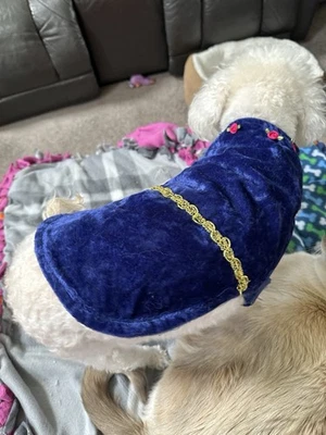 Dog Royal Blue Faux Velvet Dress by Cute Gold Trim With Pink Flower - Image 1 of 4