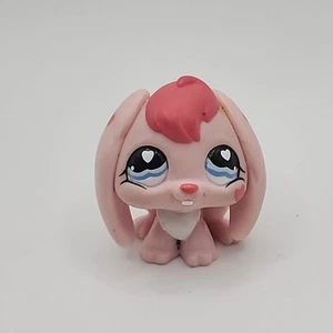 LPS Littlest Pet Shop #557 rosa San Valentino coniglietto coniglio cuori LPS autentico - Foto 1 di 6