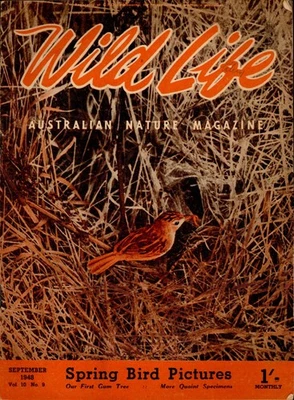 Wild Life Australian Nature Magazine - Septiembre 1948 - C.A. Gibson Hill Foto 1 de 3