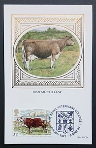 G.B. BENHAM F.D.C. POSTCARD - IRISH MOILED COW 1984 - Picture 1 of 3