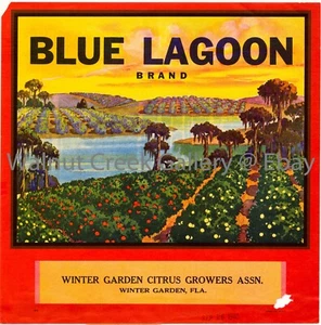 Florida Fruit Crate Label Fine Art Print, Grove , approx 10.8"x 11" 13011 - Picture 1 of 1