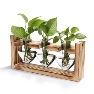 Plant Terrarium Propagation Glass Vase for Hydroponic Plants Home Office Decor - Picture 1 of 14