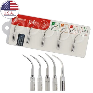 Kits de puntas surtidas de pájaros carpinteros piezo G1 G2 G4 P1 compatible con EMS escalado período - Imagen 1 de 8