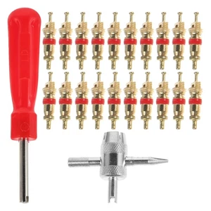32 Pcs Valve Care Tire Valves Repair Dual Wheel Stem Kit - Picture 1 of 12