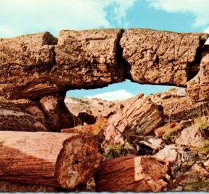 Wood Log Arch Petrified Forest National Park North Arizona Vintage Postcard - Picture 1 of 4