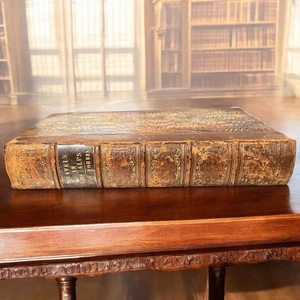 Antik 1843 James Forbes Buch Reisen durch die Alpen von Savoyen Erstausgabe - Bild 1 von 24