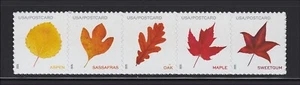 US Scott # 5966-5970 Vibrant Leaves Post Card Rate MNH Strip of 5 from Pane 2025 - Picture 1 of 1