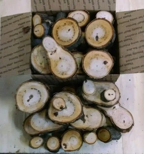 Hickory Wood Chunks/Slices for BBQ/Grilling/Wood Smoking!!! - Picture 1 of 2