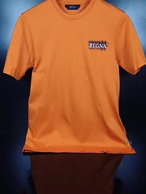 CAMISETA CON ESTAMPADO DE LOGO ZZEGNA. Foto 1 de 4