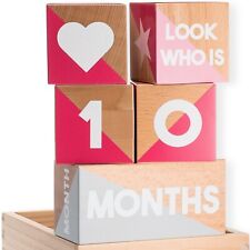 Pink Baby Monthly Milestone Blocks Newborn Photography Props Baby Shower Gifts