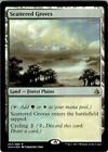 Scattered Groves - Amonkhet - Foil - Photo Is Of Actual Card.
