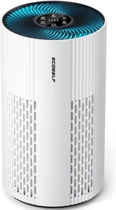 Ecoself HAP604 Air Purifier, Large Room, Cover Up to 1500 Ft², True HEPA Filter - Picture 1 of 6