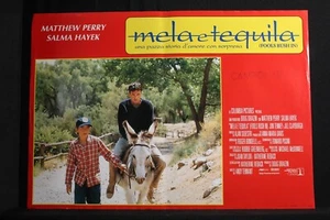 MELA E TEQUILA - Andy Tennant - Milian, Perry - FOTOBUSTA ORIGINALE 1997 - Foto 1 di 2