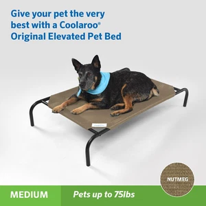 Erhöhtes erhöhtes atmungsaktives tragbares Hundebett/100 % recycelbar/leicht zu reinigen/haustiersicher - Bild 1 von 6