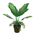 Künstliche Pflanze Dieffenbachia A092KM H 55 CM Heimdekoration Kunstpflanzen