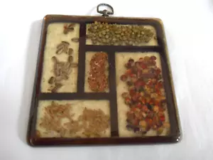 Gamut Designs Lucite Trivet Wall Plaque Dried Seeds 1960-70’s Kitchen Decor - Picture 1 of 4