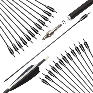 12X 34Zoll Carbonpfeile Naturfedern SP500 Bogenpfeile Compound Recurvebogen Jagd - Picture 1 of 17