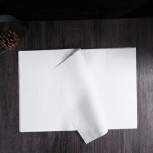 50 Blatt chinesische Kalligraphie Pinsel Tusche Schrift Sumi Papier/Xuan Papier/Reis - Bild 1 von 11