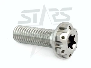 Brake Rotor Bolt Disc Bolt torx Yamaha M8x1.25x25 Titanium Silver Forged X5 - Picture 1 of 5