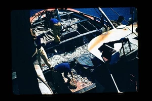 Red Kodachrome 35mm Color Slide Fishermen Sorting Catch on Boat Deck - Picture 1 of 1