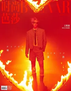 Harper's Bazaar CHINA February 2024 Fashion Magazine Dylan Hedi Wang 王鹤棣 Cover - Picture 1 of 9