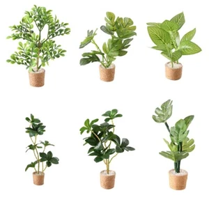 Miniatures maison de poupée échelle 1:6 plantes en pot pot pot de fleurs salon jardin décoration - Photo 1/18