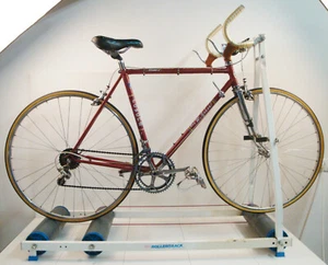 VINTAGE Rowona Rolf Wolfshohl Rennrad 12 Gang 28 Zoll 52 RH mit TACX ROLLERTRACK - Bild 1 von 21