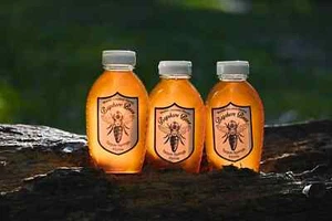 honey natural raw unfiltered pure premium Florida Bayshore Bees Honey 3 pounds - Picture 1 of 6