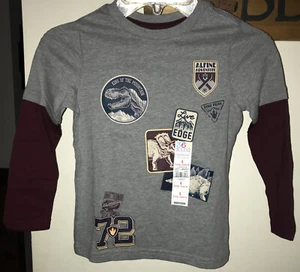 NWT 365 KIDS By Garanimals Boys LS Dinosaur Tshirt Grey Burgundy Size 4 - Picture 1 of 6