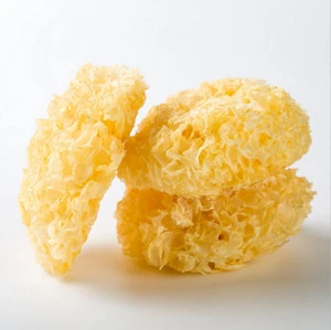 Dried Mushrooms Organic Snow White Fungus Tremella Silver Ear Mushrooms银耳 没有熏硫糯耳 - Picture 1 of 6