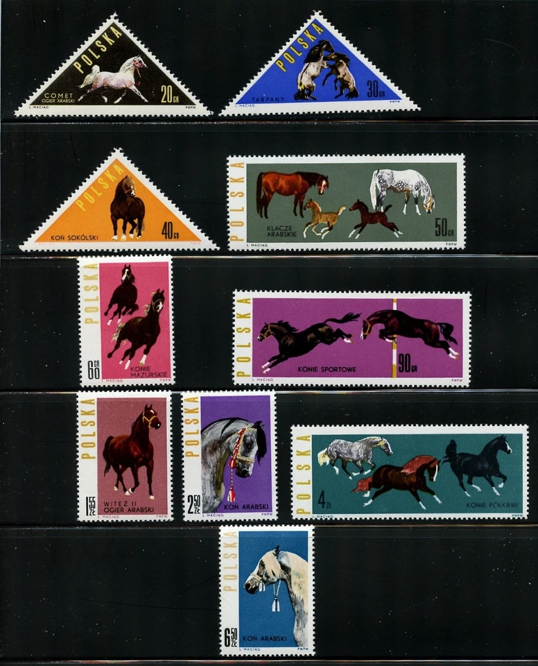 波兰 1188 - 97,1963 年马饲料,全新邮票 (POL1407) — 第 1/1 张图片