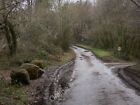 Photo 6x4 Junction of lanes near Little Bognor On the left the big stones c2011