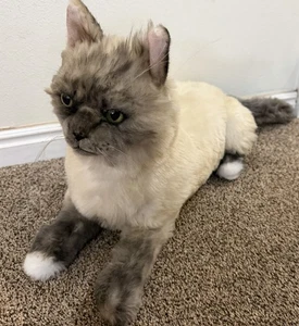 Muñeca de trapo PETSIES FOREVERS hecha a medida para gato gris crema tamaño real ojos verdes - Imagen 1 de 9