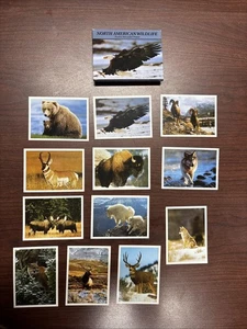 VINTAGE North American Wildlife 1989 Set 12 schöne Drucke HOCHWERTIG - Bild 1 von 4