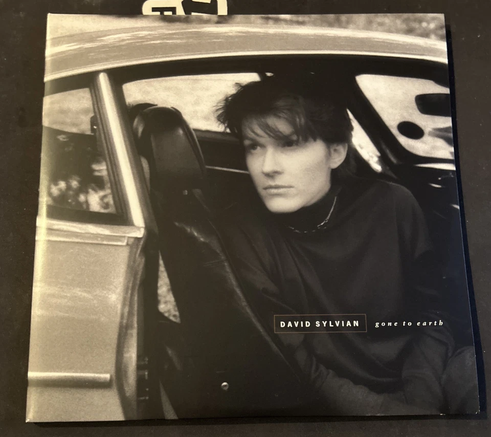 Gone to Earth by David Sylvian (Record, 2019) Reissue Gatefold Double Vinyl LP - Image 1 of 4