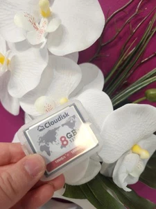 Compact Flash 8gb Cloudisk 133X - Bild 1 von 6