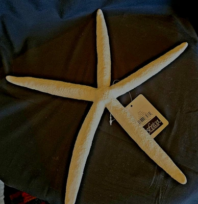 ¡Nuevo! Escultura colgante de pared de estrellas de mar de resina 12 X 12 decoración costera del hogar Foto 1 de 4