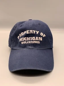 Michigan Wolverines Hat Cap Adjustable Blue White Twins Enterprise Inc Adult - Picture 1 of 12