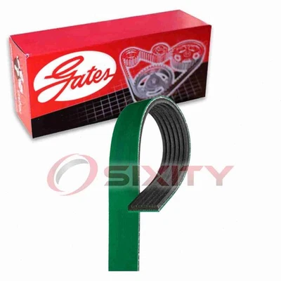 Cinturón serpentino Gates FleetRunner Micro-V para GMC Yukon XL 1500 bp 2001-2006 Foto 1 de 4