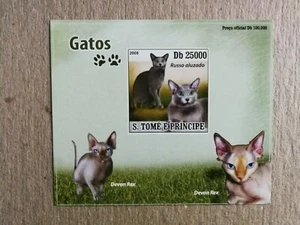 Santo Tomé 2008. Hojita nueva. MNH. Gatos. Imperforada. - Imagen 1 de 1