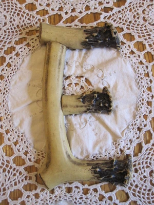 Deer Antler Letter Polyresin Name Art Cabin Home Decor 7 1/2" E - Image 1 of 2