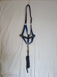 Horse Halter "Barb Wire" Royal Blue Overlay, Neoprene Lined, Triple Ply - NEW - Picture 1 of 7
