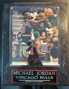 MICHAEL JORDAN SIGNED FRAMED AUTOGRAPH 8X10 PHOTO CHICAGO BULLS 1996 SEASON COA - Picture 1 of 3