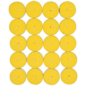 40x Citronella Kerze Mückenschutz Insektenschutz Teelicht Zitrone Anti Mücke - Bild 1 von 3