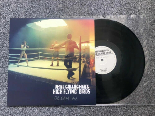 NOEL GALLAGHER'S HIGH FLYING BIRDS DREAM ON 12" VINYL RECORD OASIS UK 2012 LP — 第 1/1 张图片
